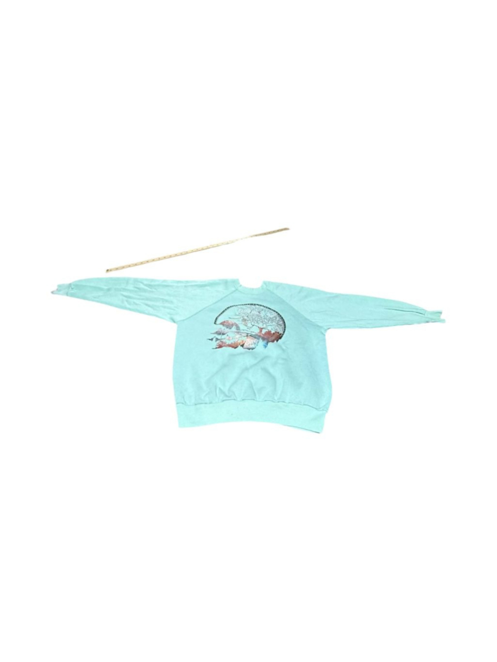 Women's Unbranded Light Blue Graphic Sweatshirt L #895